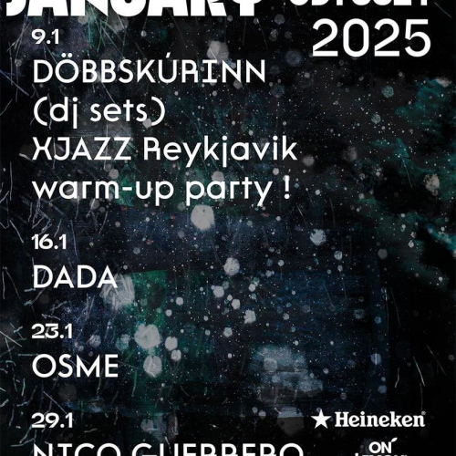 Space Odyssey Reykjavik / Jan 2025